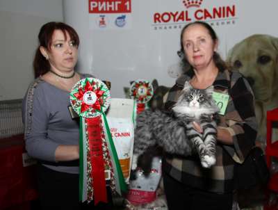 �������� ����� '������� ���-�����' 30 ������-1 ������� 2013� 60_best1_junior_opp_sex_IMG_3399 copy.jpg